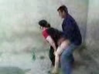 Rachel Starr lui fait une pipe incroyable pour un cunnilingus et un martèlement profond de la chatte porno des animaux et des femmes